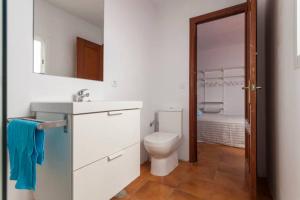 y baño con aseo, lavabo y espejo. en My Little Loft in the Heart of Seville, en Sevilla