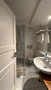 a bathroom with a shower and a sink and a toilet at Ferienzimmer BlatnerS Bissersheim in Bissersheim +14 photos
