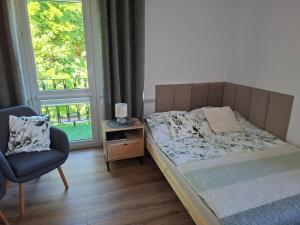 a bedroom with a bed and a chair and a window at Apartament VERDE Malbork centrum in Malbork