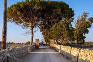 a tree over a stone wall with a road at Masseria LOGGIA PUCCI in Torre Chianca