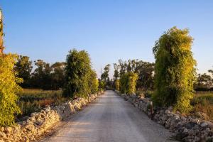 a road in the middle of a field with trees at Masseria LOGGIA PUCCI in Torre Chianca
