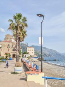 a row of benches on a beach with a palm tree at Casa Mare e Sole in Vibonati