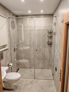a bathroom with a shower and a toilet at Vitosha Park Apart in Sofia