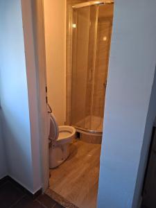 a bathroom with a toilet and a shower at Apartmani Željko in Zadar