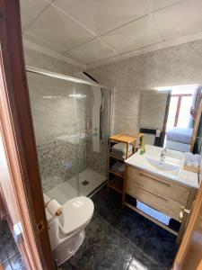 a bathroom with a shower and a toilet and a sink at La Cassola del Priorat in Gratallops