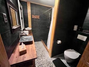 a bathroom with a sink and a toilet at De Rietnymf in Munnekeburen