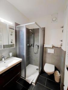 a bathroom with a shower and a toilet and a sink at Alte Post - Hotel Am Rhein-Ufer Laufenburg in Laufenburg +43 photos