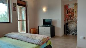 a bedroom with a bed and a tv and a window at Вила Зеленка - Villa Zelenka in Bŭlgarevo