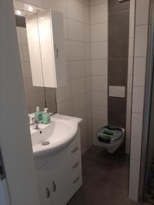 a bathroom with a sink and a toilet at Ferienwohnung Michelle in Bremerhaven +8 photos