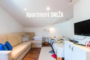 a living room with a couch and a flat screen tv at Apartments Salak in Pula