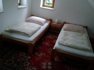 コウォブジェクにあるMieszkanie na wakacjeの赤いカーペットフロアの客室で、ツインベッド2台が備わります。