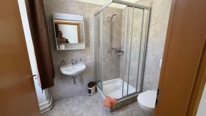 a bathroom with a shower and a toilet and a sink at Adler in Linthal +56 photos