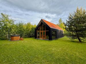 a black house with a red roof on a green field at Forest Villa De Bosburcht with Sauna | 6 persons in Gasselte