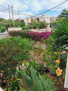 a garden with flowers and plants in a city at Rachel in Nisís Áyios Nikólaos