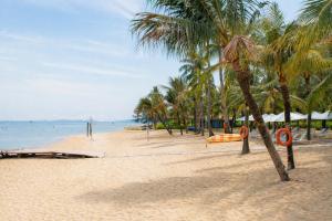 a sandy beach with palm trees and the ocean at Sea La Vie Beachfront Villa - Bai Truong Beach Phu Quoc in Phú Quốc