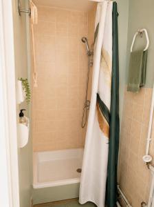 a shower with a shower curtain in a bathroom at Le boudoir de Marie in Montluçon