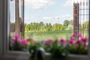 a window view of a field with pink flowers at Gîte Athois la campagne in Ath