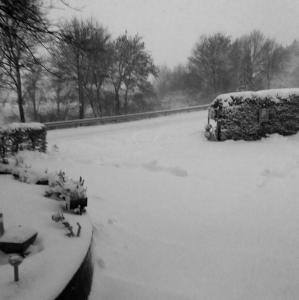 eine Gruppe von Vögeln, die in einem schneebedeckten Hof stehen in der Unterkunft Re-kreation in Hallschlag