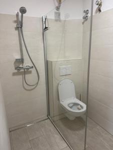 a bathroom with a shower with a toilet at Kaiser von Österreich in Bad Aussee +17 photos
