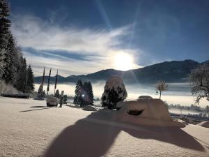 Hotel-Gasthof Strasswirt im Winter