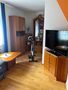a living room with a large flat screen tv at Bergblick Apartment in Lienz