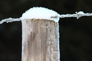 Lachtalhaus v zimě