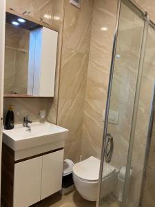 a bathroom with a toilet and a sink and a shower at Sea View Marjana Apartment in Skataj