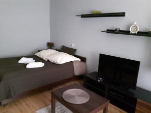 Habitación pequeña con cama y TV. en Apartament Styl, en Szczecin