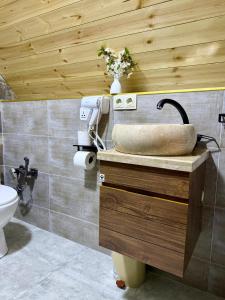 a bathroom with a sink and a toilet at Grand Hills Kazbegi in (( Gergeti )) +44 photos
