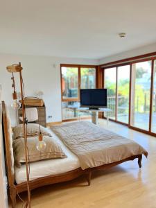 a bedroom with a bed with a television in it at Alpine Sunlight Villa in Villach +45 photos