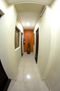 Fotografie z fotogalerie ubytování Hotel & Suites Domani v destinaci Progreso
