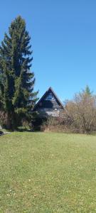 a house sitting in the middle of a field at Ferienpark Vorauf Typ B/Oslo Wacholderweg 10 in Siegsdorf +4 photos