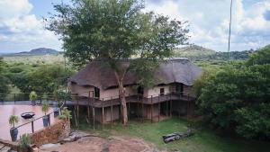 an old house with a thatch roof and a tree at Sable Ranch Thaba Khaya Lodge in Brits
