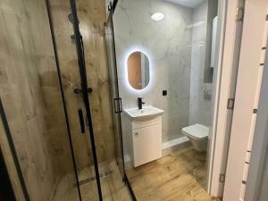 a bathroom with a shower and a sink and a toilet at Central cozy apartments- one and two bedrooms option in Chişinău