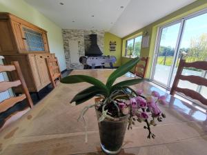 a potted plant sitting on a table in a room at Les Gîtes de la chapelle blanche in Anor