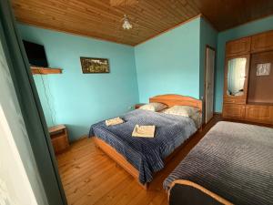 two beds in a room with blue walls and wooden floors at Villa Maria in Slavske