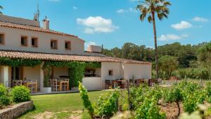 a house with a garden and a palm tree at Es Mayolet in Manacor