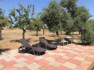 a group of chairs and a table and trees at JV Country in Polignano a Mare
