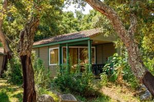 a small green house with a tree at Chalet 2 étoiles - Piscine - ccbgdfh in Porto-Vecchio