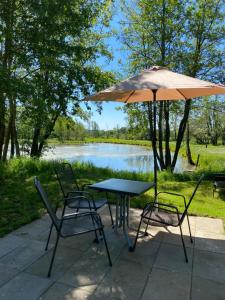 a table and chairs with an umbrella next to a lake at Naturerlebnis-Schlafcontainer in Leutershausen