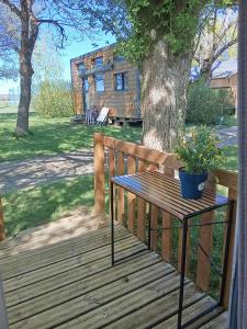a wooden deck with a table with a potted plant on it at Le Bruant des Roseaux in Villegusien Le Lac