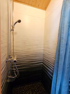 a shower with a blue shower curtain in a bathroom at Stuga 21 i Dalskärs Camping in Bergkvara +26 photos