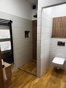 a bathroom with a toilet and a shower at Dominó Apartman in Gelse +13 photos