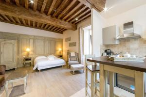 a large room with a bed and a kitchen at Le Cara in Beaune +2 photos