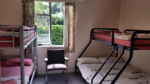 a room with two bunk beds and a window at Egmont Eco Leisure Park & Backpackers in New Plymouth