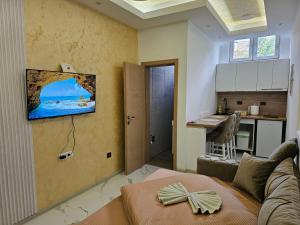 ein Wohnzimmer mit Sofa und eine Küche in der Unterkunft Studio centar Lazic 2 in Šid