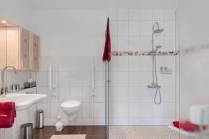 a bathroom with a shower and a toilet and a sink at Ferienwohnung Paffendorf in Gutach +28 photos