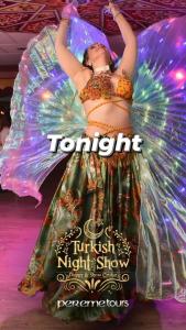 a picture of a woman in a dress on a stage at BOSPHOROUS DİNNER CRUISe in Istanbul