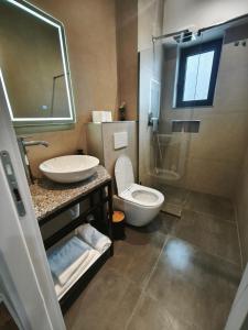 a bathroom with a toilet and a sink and a shower at Velia Rooms in Përmet