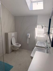 a bathroom with a toilet and a sink at Waldhaus Talblick in Biberwier +57 photos